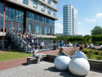 Rotterdam Business School - edu-abroad.su - Екатеринбург
