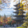 Tohoku University - edu-abroad.su - Екатеринбург